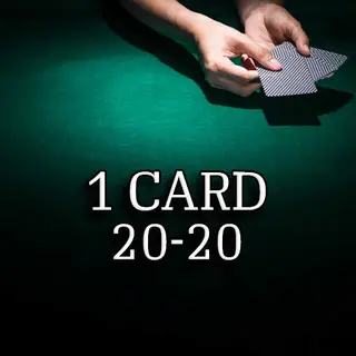 1 CARD 20-20 on All Panel
