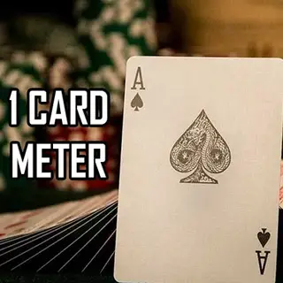 1 CARD METER on All Panel