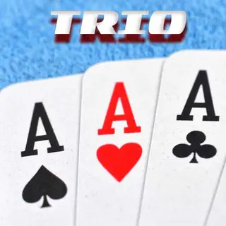 TRIO on All Panel